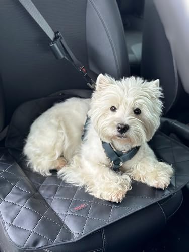 Dogsto die Hunde Automatte/Klappmatte für jedes Auto Schnell zusammengeklappt (Magnetverschluss) | Der Schmutz bleibt in der Matte | Sauber und ordentlich weggelegt ins Türinnenfach, Stoff-Malmo