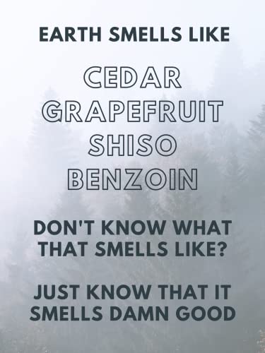 Thom Travel Size Cologne For Men - Natural Ingredients Solid Cologne Men - Smell Fresh Everywhere You Go - Alcohol Free Solid Perfume - Easy Application Mens Cologne (Earth) #TOP2