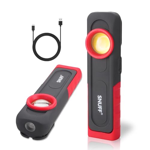 Car Detailing Light Rechargeable, 600LM Paint Correction Inspection Light with Magnetic Base & Hook, 2700/4500/6500K, Handheld LED Work Light for Auto Detailing, Color Matching & Repairs (1 Pack)