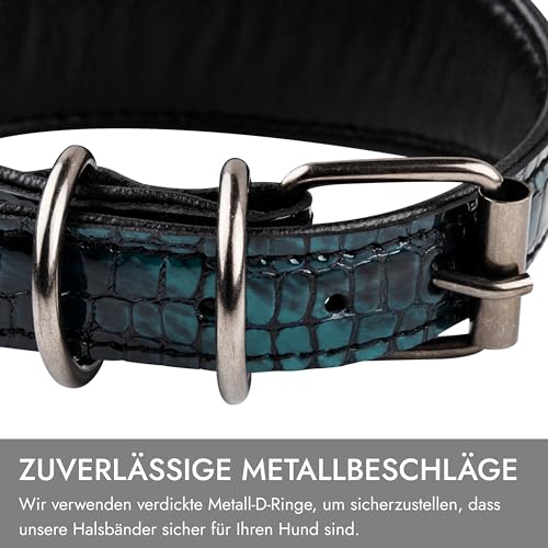 FAVPET Luxus Echtleder Windhund Halsband Breit mit QR Code Anhänger, Weiches Lederhalsband Hund Breit Whippet Italienisches Windspiel Saluki Lurcher Spanischer Galgo Greyhound Podenco (Grün, XS)