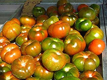 Pomodoro RAF (20 Semi) pomodori deliziosi, Resistenza a Fusarium!