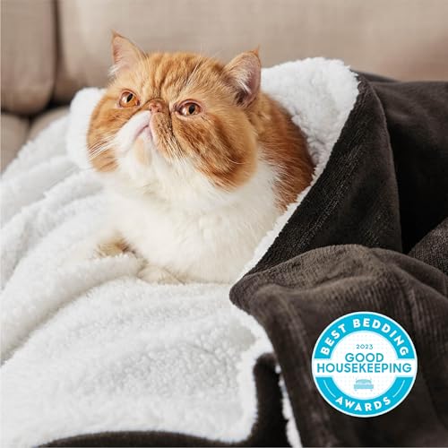 Image of Bedsure GentleSoft Sherpa Fleece Twin Size Blanket for Couch, Non-Heated, Thick and Warm Throw for Women and Men, Soft Fuzzy Plush Twin Blanket for Winter, Brown, 60x80 Inches