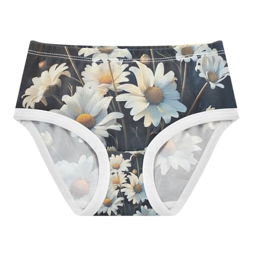 Toddler Girl Briefs, Vintage White Daisy Flower Girls Underwear Cotton, 2T–8 Years