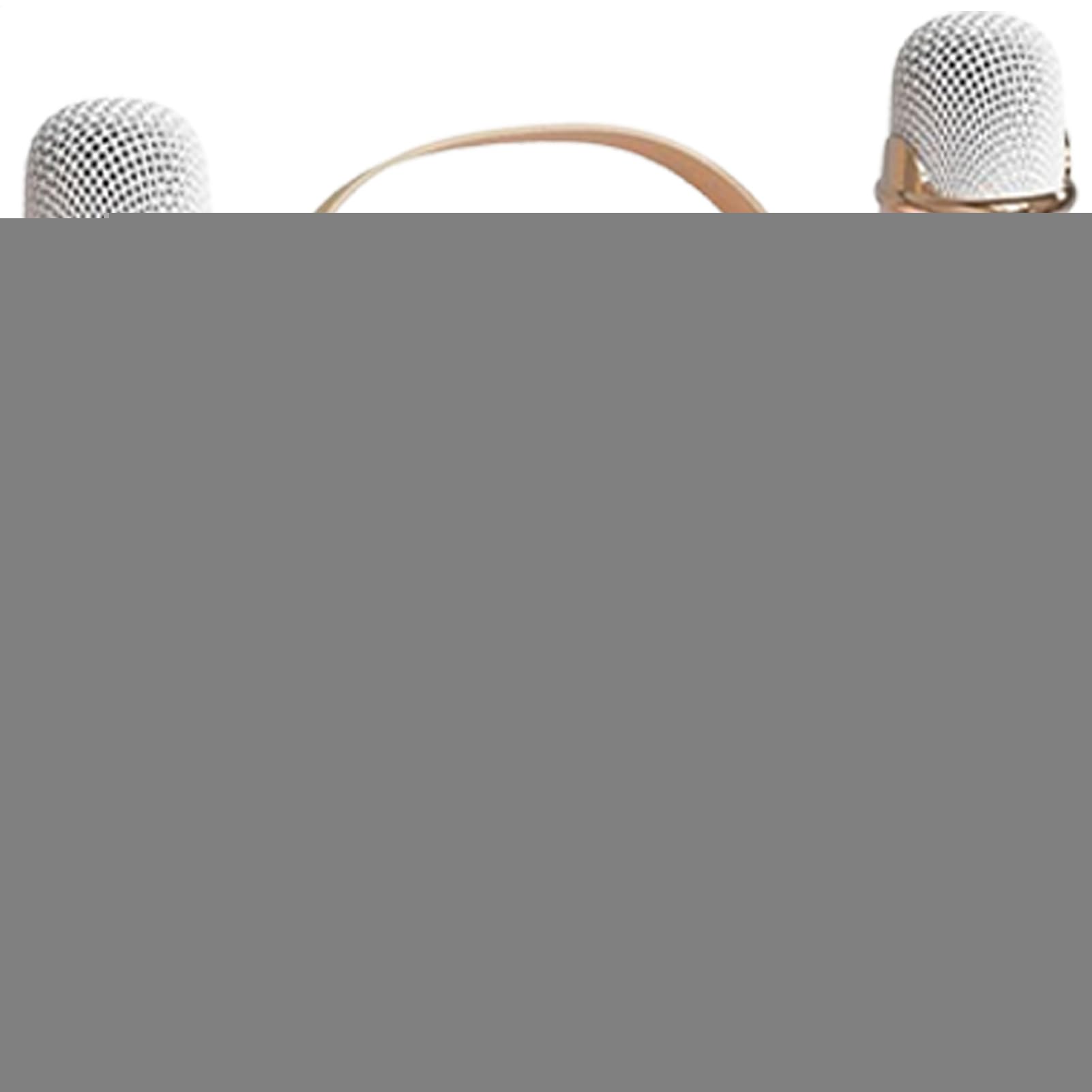 Set microfono per karaoke per bambini, karaoke con due microfoni | microfono portatile per adulti con cavo di ricarica per viaggi