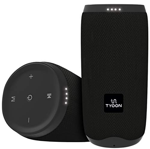 Tyoon S22 16 Watt Wireless Bluetooth Portable Speaker (Black)