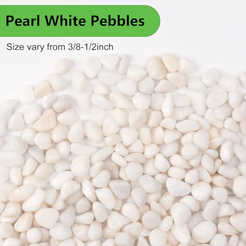 Image of Pulovin 2.5 lbs White Pebbles for Vases, 3 /8 inch Small Plant Stones for Pots Indoor, Pea Gravel for Succulents, Bamboo, Terrarium, High Polished
