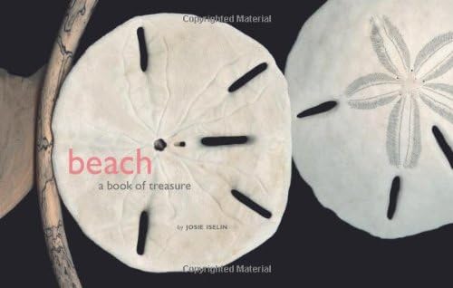 Beach: A Book of Treasures