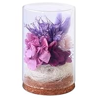 Amazon｜プリザーブドフラワー ボトルフラワー プリザードフラワー