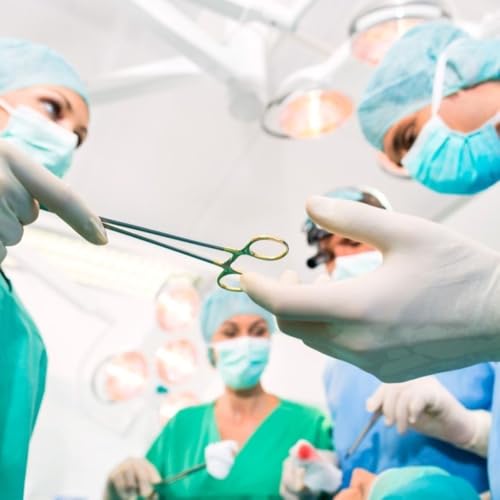 2 Stück Piercingzange Set, Selbstverriegelnde Piercing Zange, Fischerei Klemme mit Sägezahndesign, Vielseitige Verriegelungszange für DIY Handwerk Haustierpflege (12.5cm)