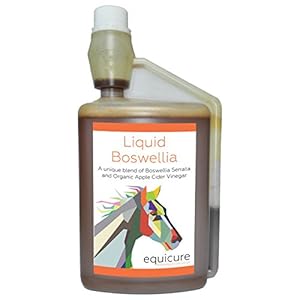 Equicure Liquid Boswellia For Horse/Pony (1 Litre)