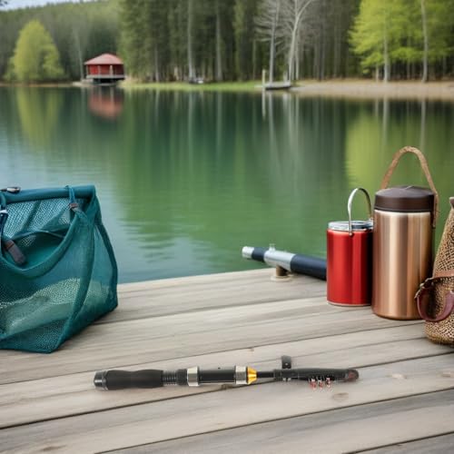 Canne à pêche télescopique rétractable avec mini moulinet mer et eau douce compacte