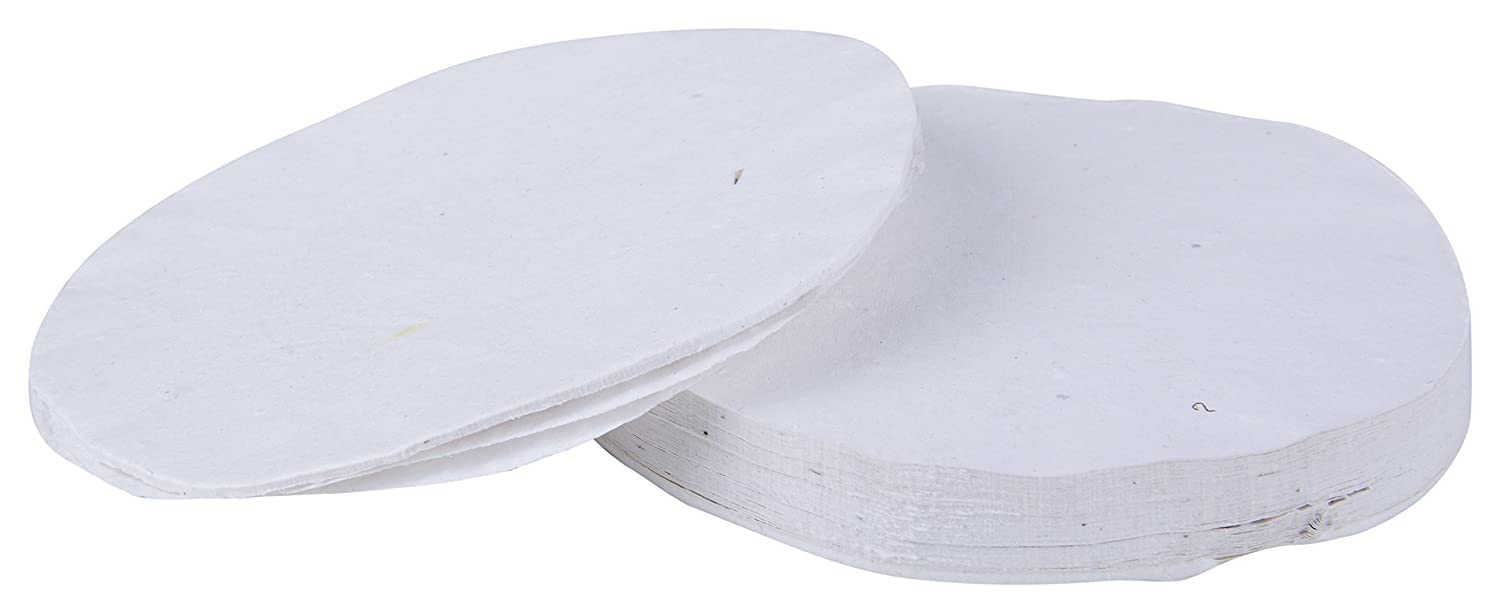 E Care Test Filter paper round sheets pack of 100 dia 12.5cm (125 mm) for laboratory use in chemistry lab experiments for schools or laboratory activities