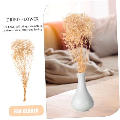 Ramo de flores secas Babysbreath para decoración miniatura 3