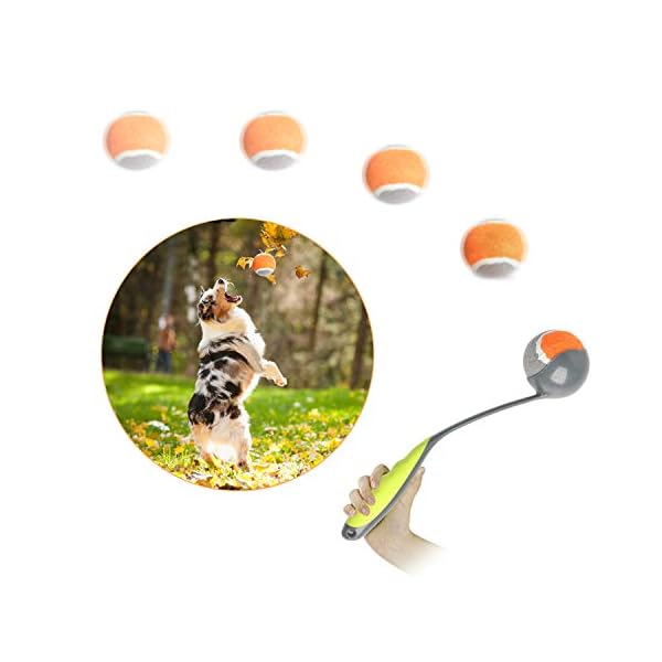 Dog Fetch Toy