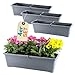 GarPet 4er Set Blumenkasten mit Wasserspeicher Blumenkasten Fensterbank Pflanzkasten Outdoor Wasserstandsanzeiger Gießschacht Bewässerungsband 60 cm Anthrazit