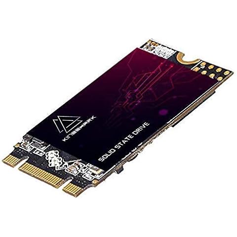 Kingshark SSD M.2 2242 64GB Ngff Internal Solid State Drive High Performance Hard Drive for Desktop Laptop SATA III 6Gb/s Includes SSD 120GB 240GB 250GB 480GB 500GB 1TB Cover