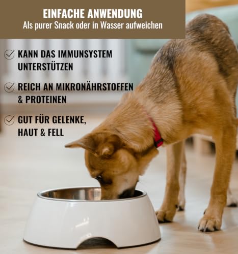 Hundeleckerli Lamm-Mix 110 g - Gefriergetrocknete Snacks aus Lammfleisch, Pansen & Knorpel - Proteinreiche Hundesnacks, getreidefrei & ohne Zusätze - Für Barf, Training & Zahngesundheit - von RiNa