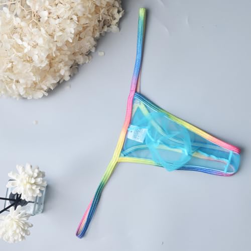 Mens Sexy Mesh Thong Transparent Low Rise G-String Pouch Underpants Stretch T-Back Briefs 2025 Fashion Y2K4