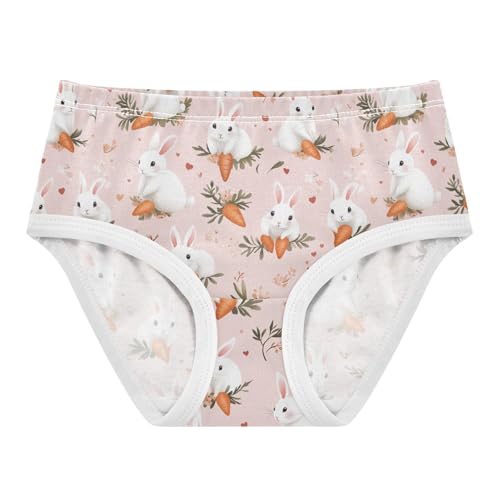 Girls Underwear Soft Cotton Rabbits Carrots Kids Panties in Sizes 2/3t, 4t, 5t, 6 and 8