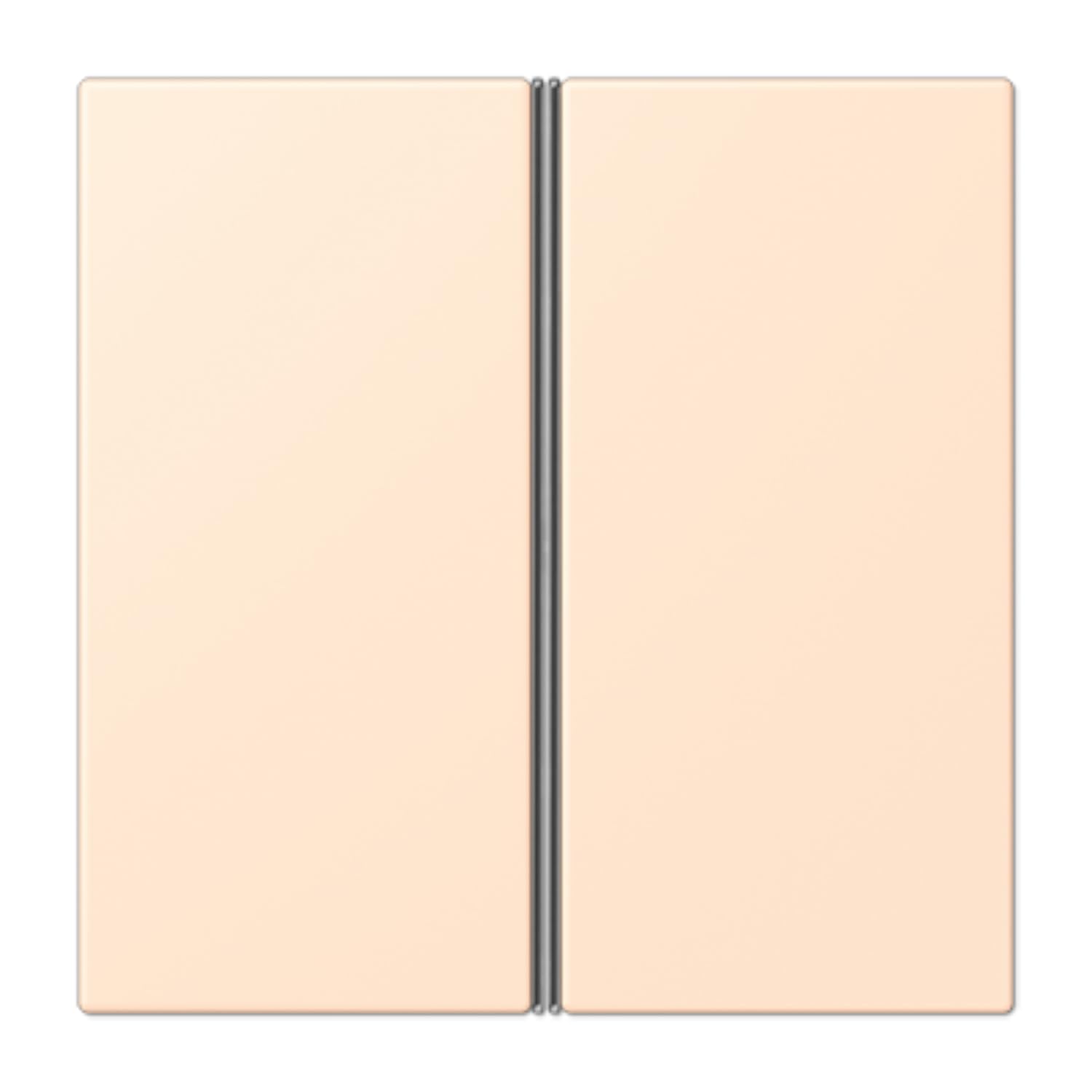 Jeu de touches F40 pour remplacer enjoliveur JUNG LC402TSA238 2 phases