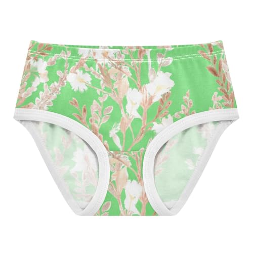 Pattern Girls Underwear Toddler 2t Cotton Panties for Girl Watercolor Floral Green Briefs Kids Undies