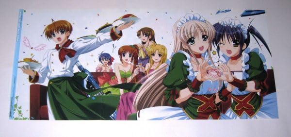 魔法戦記リリカルなのはForce 折りたたみピンナップアニメポスター 65 Amazon.co.jp: ピンナップ/魔法少女リリカルなのはStrikerS&魔法戦記
