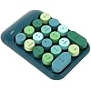 Retro Color 2.4GHz Numeric Keypad with USB Receiver for Laptop, Portable 18 Keys Wireless Number Pads Round Keycaps Auto Sleep Accounting Numpad Compatible with OS X (Dark Green Color)