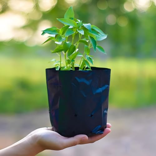 Image of Agritech Black Nursery Cover /Plant Grow Bag - 25 Nos (10x10, 25)