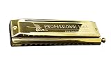 Swan, 16 Holes 64 Sounds, Chromatic Harmonica, Key of C, Golden-plated, laser etching, W1664H1