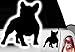 HR-WERBEDESIGN 1 X Auto 28 x 24 cm Adesivo Bulldog Francese French Bulldog Bulli Bully Cane
