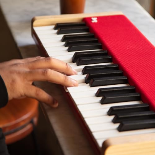Image of Loog digital piano - portable keyboard for beginners with musician grade sound, MIDI over USB-C rechargeable musical educational instrument (Loog piano bundle)