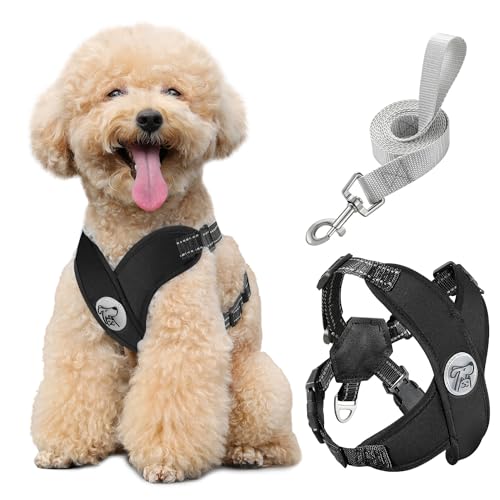 Pawaboo Hundegeschirr mit Hundeleine Set, X-Rahmen Verstellbares Anti Zug Anti-Erstickung Hund Brustgeschirr für Kleine, Mittelgroße Hunde & Welpen, Atmungsaktive Hundeweste mit Leine (M, Schwarz)