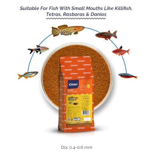 Intan Micro Bits (0.4-0.6mm Slow Sinking Crumble) | 1Kg - Highly Nutritious Ornamental Fish Food for Small Mouths - Killifish, Tetras, Rasboras & Danios | Growel Feeds