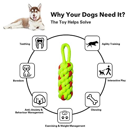 Image of Cotton Big Dummy for Dogs, Chew Toy for Small and Medium Breed (Green & Red)