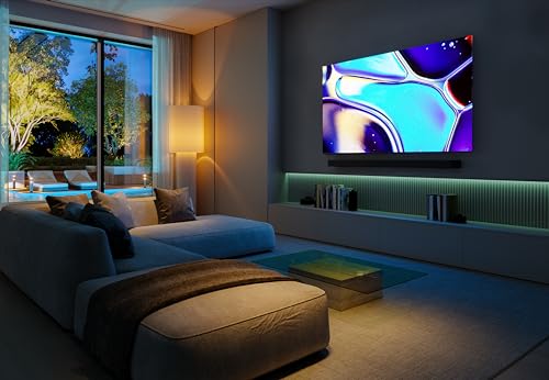Sony 83 inch OLED A80L TV