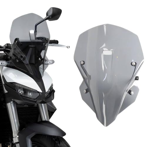 Pare-brise CB1000 Hornet SP 2025 Honda gris pour éviter la fatigue du vent