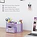 EasyPAG Mesh Pen Holder Desk Organizer with Drawer Stationery Supplies Organizer for Dorm School 9 Compartments Workspace Desk Accessories Organization for Office, Light Purple