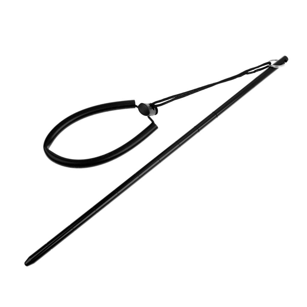 Aymzbd Tauchstock Aus Alu – 34 Cm Langer Lobseter-Pointer Mit Handschlaufe – Silber