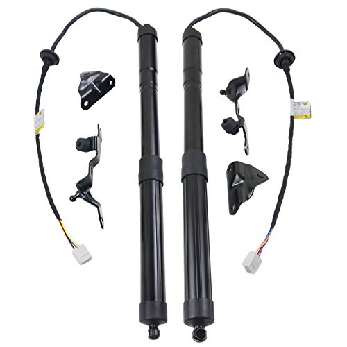NICEKE Paire Vérins à gaz de hayon électrique Compatible avec RAV4 Le Limited XLE 2.0 2.2 D 2.5L L4 Gas 2013-2018 6892009010 Cover