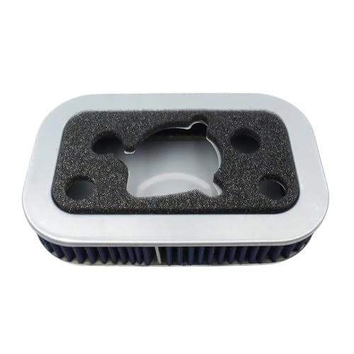 Filtre à air de remplacement pour XL1200S XLH1200 filtration optimale