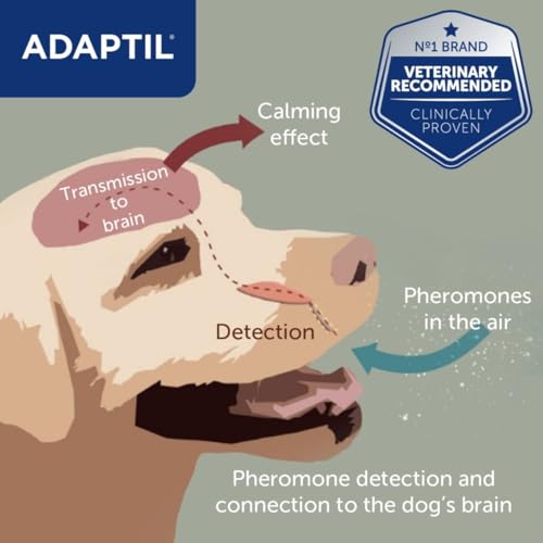 ADAPTIL Calm Home Diffusor mit 30-Tage-Nachfüllung, beruhigender & ängstlicher Hund, Antistress