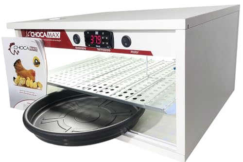 Chocadeira 60 A 70 Ovos Com Ovoscópio Automática Digital