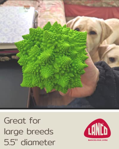 Juguete mordible sensorial para perros medianos y grandes miniatura 5