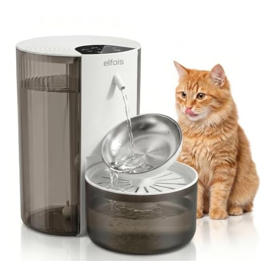 Cat Water Fountain with Dual-Reservoir Design
