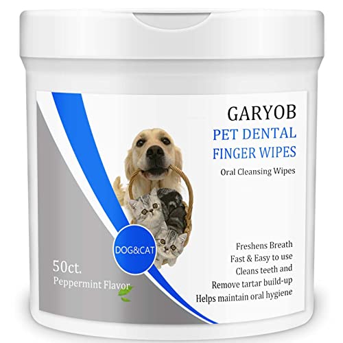 Top 10 Dog Teeth Cleaning Wipes of 2022 Katynel