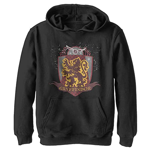 Image of Harry Potter Kids' Gryffindor Quidditch