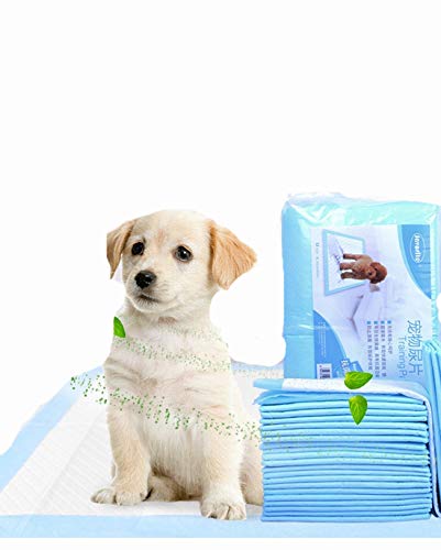 Tapis de dressage jetables pour chiens et chiots 100 pieces pour un interieur toujours propre
