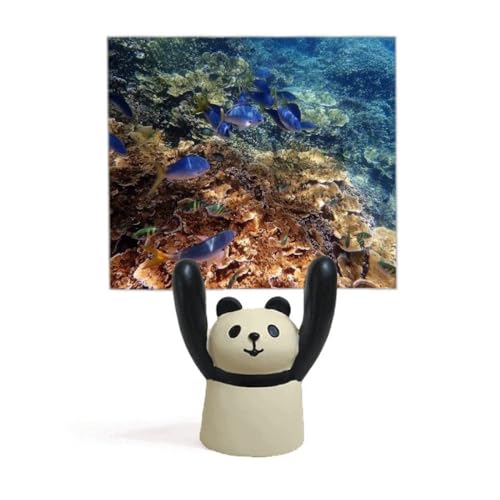 Support de photo panda pour décorer la chambre de vos enfants