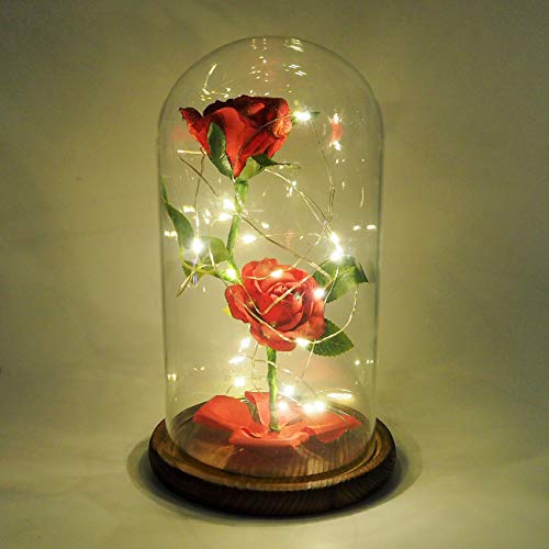 Jieway Beauty and the Beast Enchanted Rose Luces, elegante cúpula de cristal con luces LED, base de pino, regalos románticos mágicos para decoración del hogar