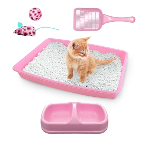 PAWISE Katze Starter Kit beinhaltet 5PCS Kitty Suppies, Low Entry Kätzchen Wurf Pfanne, Katze Wurf Scooter, Katzenschüsseln, Katze Maus Spielzeug,...